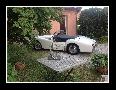 Photo 2013 - Triumph TR3A_092.jpg